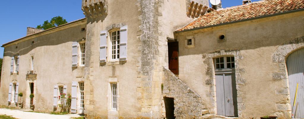 Chateau De La Combe Puyrenier Εξωτερικό φωτογραφία